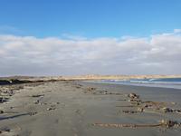 Tage Rundreise Namibia – Die Erlebnistour mit  Kalahari – Fish River-Canyon – Lüderitz – Namib – Swakopmund – Erongo Gebirge – Etosha Nationalpark – Windhoek (468)