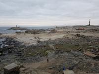 Tage Rundreise Namibia – Die Erlebnistour mit  Kalahari – Fish River-Canyon – Lüderitz – Namib – Swakopmund – Erongo Gebirge – Etosha Nationalpark – Windhoek (473)