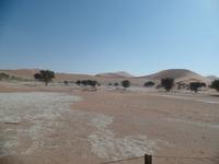 Tage Rundreise Namibia – Die Erlebnistour mit  Kalahari – Fish River-Canyon – Lüderitz – Namib – Swakopmund – Erongo Gebirge – Etosha Nationalpark – Windhoek (477)