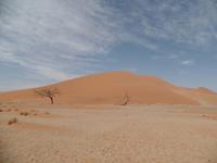 Tage Rundreise Namibia – Die Erlebnistour mit  Kalahari – Fish River-Canyon – Lüderitz – Namib – Swakopmund – Erongo Gebirge – Etosha Nationalpark – Windhoek (484)