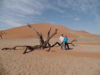 Tage Rundreise Namibia – Die Erlebnistour mit  Kalahari – Fish River-Canyon – Lüderitz – Namib – Swakopmund – Erongo Gebirge – Etosha Nationalpark – Windhoek (485)