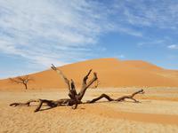 Tage Rundreise Namibia – Die Erlebnistour mit  Kalahari – Fish River-Canyon – Lüderitz – Namib – Swakopmund – Erongo Gebirge – Etosha Nationalpark – Windhoek (490)