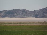 Tage Rundreise Namibia – Die Erlebnistour mit  Kalahari – Fish River-Canyon – Lüderitz – Namib – Swakopmund – Erongo Gebirge – Etosha Nationalpark – Windhoek (531)