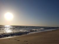 Tage Rundreise Namibia – Die Erlebnistour mit  Kalahari – Fish River-Canyon – Lüderitz – Namib – Swakopmund – Erongo Gebirge – Etosha Nationalpark – Windhoek (558)