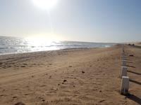 Tage Rundreise Namibia – Die Erlebnistour mit  Kalahari – Fish River-Canyon – Lüderitz – Namib – Swakopmund – Erongo Gebirge – Etosha Nationalpark – Windhoek (565)