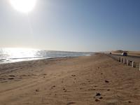 Tage Rundreise Namibia – Die Erlebnistour mit  Kalahari – Fish River-Canyon – Lüderitz – Namib – Swakopmund – Erongo Gebirge – Etosha Nationalpark – Windhoek (572)