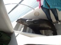 Tage Rundreise Namibia – Die Erlebnistour mit  Kalahari – Fish River-Canyon – Lüderitz – Namib – Swakopmund – Erongo Gebirge – Etosha Nationalpark – Windhoek (591)