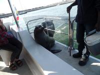 Tage Rundreise Namibia – Die Erlebnistour mit  Kalahari – Fish River-Canyon – Lüderitz – Namib – Swakopmund – Erongo Gebirge – Etosha Nationalpark – Windhoek (592)