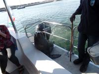 Tage Rundreise Namibia – Die Erlebnistour mit  Kalahari – Fish River-Canyon – Lüderitz – Namib – Swakopmund – Erongo Gebirge – Etosha Nationalpark – Windhoek (593)