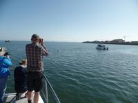 Tage Rundreise Namibia – Die Erlebnistour mit  Kalahari – Fish River-Canyon – Lüderitz – Namib – Swakopmund – Erongo Gebirge – Etosha Nationalpark – Windhoek (595)