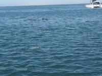 Tage Rundreise Namibia – Die Erlebnistour mit  Kalahari – Fish River-Canyon – Lüderitz – Namib – Swakopmund – Erongo Gebirge – Etosha Nationalpark – Windhoek (597)