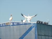 Tage Rundreise Namibia – Die Erlebnistour mit  Kalahari – Fish River-Canyon – Lüderitz – Namib – Swakopmund – Erongo Gebirge – Etosha Nationalpark – Windhoek (599)