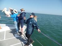 Tage Rundreise Namibia – Die Erlebnistour mit  Kalahari – Fish River-Canyon – Lüderitz – Namib – Swakopmund – Erongo Gebirge – Etosha Nationalpark – Windhoek (638)