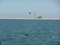 Tage Rundreise Namibia – Die Erlebnistour mit  Kalahari – Fish River-Canyon – Lüderitz – Namib – Swakopmund – Erongo Gebirge – Etosha Nationalpark – Windhoek (639)