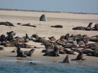 Tage Rundreise Namibia – Die Erlebnistour mit  Kalahari – Fish River-Canyon – Lüderitz – Namib – Swakopmund – Erongo Gebirge – Etosha Nationalpark – Windhoek (650)