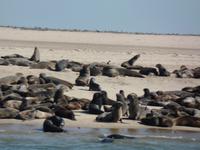 Tage Rundreise Namibia – Die Erlebnistour mit  Kalahari – Fish River-Canyon – Lüderitz – Namib – Swakopmund – Erongo Gebirge – Etosha Nationalpark – Windhoek (653)