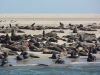 Tage Rundreise Namibia – Die Erlebnistour mit  Kalahari – Fish River-Canyon – Lüderitz – Namib – Swakopmund – Erongo Gebirge – Etosha Nationalpark – Windhoek (662)