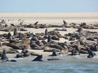 Tage Rundreise Namibia – Die Erlebnistour mit  Kalahari – Fish River-Canyon – Lüderitz – Namib – Swakopmund – Erongo Gebirge – Etosha Nationalpark – Windhoek (663)