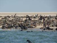 Tage Rundreise Namibia – Die Erlebnistour mit  Kalahari – Fish River-Canyon – Lüderitz – Namib – Swakopmund – Erongo Gebirge – Etosha Nationalpark – Windhoek (665)