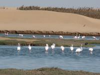 Tage Rundreise Namibia – Die Erlebnistour mit  Kalahari – Fish River-Canyon – Lüderitz – Namib – Swakopmund – Erongo Gebirge – Etosha Nationalpark – Windhoek (680)