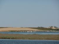 Tage Rundreise Namibia – Die Erlebnistour mit  Kalahari – Fish River-Canyon – Lüderitz – Namib – Swakopmund – Erongo Gebirge – Etosha Nationalpark – Windhoek (683)