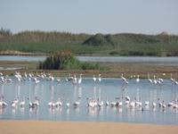 Tage Rundreise Namibia – Die Erlebnistour mit  Kalahari – Fish River-Canyon – Lüderitz – Namib – Swakopmund – Erongo Gebirge – Etosha Nationalpark – Windhoek (685)
