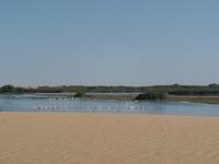 Tage Rundreise Namibia – Die Erlebnistour mit  Kalahari – Fish River-Canyon – Lüderitz – Namib – Swakopmund – Erongo Gebirge – Etosha Nationalpark – Windhoek (687)