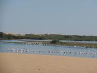 Tage Rundreise Namibia – Die Erlebnistour mit  Kalahari – Fish River-Canyon – Lüderitz – Namib – Swakopmund – Erongo Gebirge – Etosha Nationalpark – Windhoek (688)