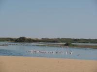 Tage Rundreise Namibia – Die Erlebnistour mit  Kalahari – Fish River-Canyon – Lüderitz – Namib – Swakopmund – Erongo Gebirge – Etosha Nationalpark – Windhoek (689)