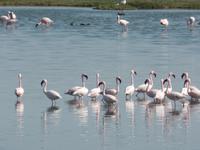 Tage Rundreise Namibia – Die Erlebnistour mit  Kalahari – Fish River-Canyon – Lüderitz – Namib – Swakopmund – Erongo Gebirge – Etosha Nationalpark – Windhoek (695)