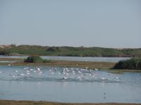 Tage Rundreise Namibia – Die Erlebnistour mit  Kalahari – Fish River-Canyon – Lüderitz – Namib – Swakopmund – Erongo Gebirge – Etosha Nationalpark – Windhoek (700)