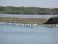 Tage Rundreise Namibia – Die Erlebnistour mit  Kalahari – Fish River-Canyon – Lüderitz – Namib – Swakopmund – Erongo Gebirge – Etosha Nationalpark – Windhoek (702)