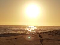 Tage Rundreise Namibia – Die Erlebnistour mit  Kalahari – Fish River-Canyon – Lüderitz – Namib – Swakopmund – Erongo Gebirge – Etosha Nationalpark – Windhoek (754)