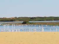 Tage Rundreise Namibia – Die Erlebnistour mit  Kalahari – Fish River-Canyon – Lüderitz – Namib – Swakopmund – Erongo Gebirge – Etosha Nationalpark – Windhoek (758)