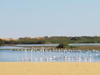 Tage Rundreise Namibia – Die Erlebnistour mit  Kalahari – Fish River-Canyon – Lüderitz – Namib – Swakopmund – Erongo Gebirge – Etosha Nationalpark – Windhoek (771)