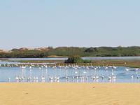 Tage Rundreise Namibia – Die Erlebnistour mit  Kalahari – Fish River-Canyon – Lüderitz – Namib – Swakopmund – Erongo Gebirge – Etosha Nationalpark – Windhoek (772)