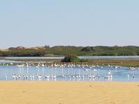 Tage Rundreise Namibia – Die Erlebnistour mit  Kalahari – Fish River-Canyon – Lüderitz – Namib – Swakopmund – Erongo Gebirge – Etosha Nationalpark – Windhoek (773)