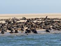 Tage Rundreise Namibia – Die Erlebnistour mit  Kalahari – Fish River-Canyon – Lüderitz – Namib – Swakopmund – Erongo Gebirge – Etosha Nationalpark – Windhoek (797)