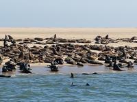 Tage Rundreise Namibia – Die Erlebnistour mit  Kalahari – Fish River-Canyon – Lüderitz – Namib – Swakopmund – Erongo Gebirge – Etosha Nationalpark – Windhoek (798)