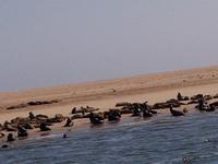 Tage Rundreise Namibia – Die Erlebnistour mit  Kalahari – Fish River-Canyon – Lüderitz – Namib – Swakopmund – Erongo Gebirge – Etosha Nationalpark – Windhoek (800)