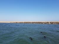 Tage Rundreise Namibia – Die Erlebnistour mit  Kalahari – Fish River-Canyon – Lüderitz – Namib – Swakopmund – Erongo Gebirge – Etosha Nationalpark – Windhoek (803)