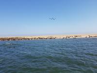 Tage Rundreise Namibia – Die Erlebnistour mit  Kalahari – Fish River-Canyon – Lüderitz – Namib – Swakopmund – Erongo Gebirge – Etosha Nationalpark – Windhoek (804)