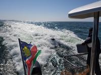 Tage Rundreise Namibia – Die Erlebnistour mit  Kalahari – Fish River-Canyon – Lüderitz – Namib – Swakopmund – Erongo Gebirge – Etosha Nationalpark – Windhoek (805)