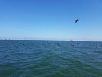 Tage Rundreise Namibia – Die Erlebnistour mit  Kalahari – Fish River-Canyon – Lüderitz – Namib – Swakopmund – Erongo Gebirge – Etosha Nationalpark – Windhoek (807)