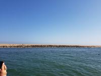 Tage Rundreise Namibia – Die Erlebnistour mit  Kalahari – Fish River-Canyon – Lüderitz – Namib – Swakopmund – Erongo Gebirge – Etosha Nationalpark – Windhoek (808)