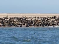 Tage Rundreise Namibia – Die Erlebnistour mit  Kalahari – Fish River-Canyon – Lüderitz – Namib – Swakopmund – Erongo Gebirge – Etosha Nationalpark – Windhoek (810)