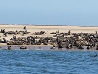 Tage Rundreise Namibia – Die Erlebnistour mit  Kalahari – Fish River-Canyon – Lüderitz – Namib – Swakopmund – Erongo Gebirge – Etosha Nationalpark – Windhoek (811)