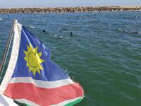 Tage Rundreise Namibia – Die Erlebnistour mit  Kalahari – Fish River-Canyon – Lüderitz – Namib – Swakopmund – Erongo Gebirge – Etosha Nationalpark – Windhoek (813)