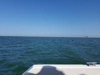 Tage Rundreise Namibia – Die Erlebnistour mit  Kalahari – Fish River-Canyon – Lüderitz – Namib – Swakopmund – Erongo Gebirge – Etosha Nationalpark – Windhoek (819)