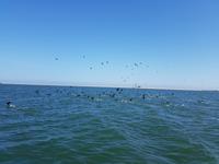 Tage Rundreise Namibia – Die Erlebnistour mit  Kalahari – Fish River-Canyon – Lüderitz – Namib – Swakopmund – Erongo Gebirge – Etosha Nationalpark – Windhoek (821)